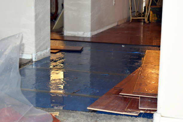 Professional Basement Flood Cleanup technician working in Glyndon, MN